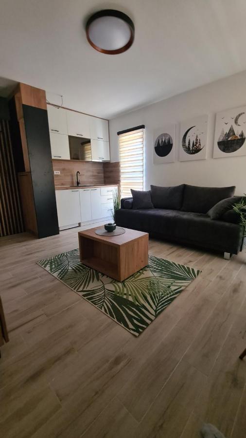 Apartmani Part Дівчибаре Екстер'єр фото