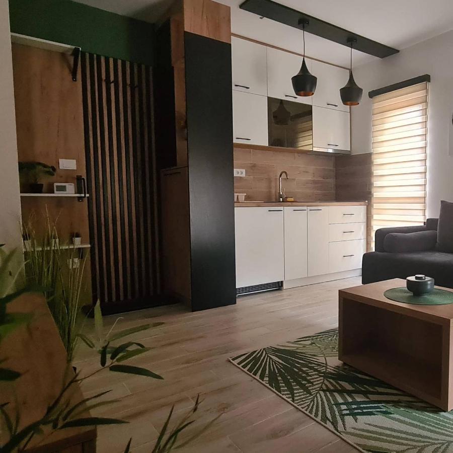 Apartmani Part Дівчибаре Екстер'єр фото